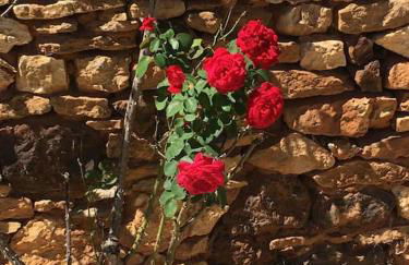 Peaceful, comfortable retreat with pool - Foto 53