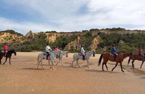 Brisa Marina Apartamento con vistas al mar - Foto 39