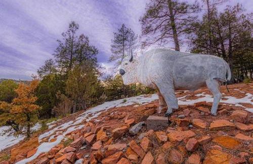 Cabin#2 Elk Hallow - Pet Friendly - Sleeps 6 - Playground & Game Room - Foto 22