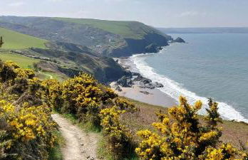 Yr Hal Llangrannog - Photo 16