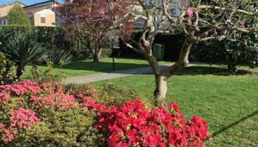 La casa di nonna Rosmi - Foto 4