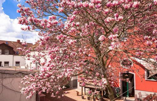 Tarata Haus - Foto 27