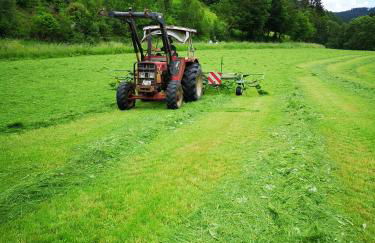 Bio Ferienbauernhof Voß - Foto 13