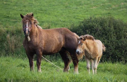 HillOut - Domek w Milówce - Workation - Praca zdalna - Foto 62