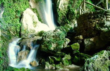 Apartamentos La Granja - Foto 22