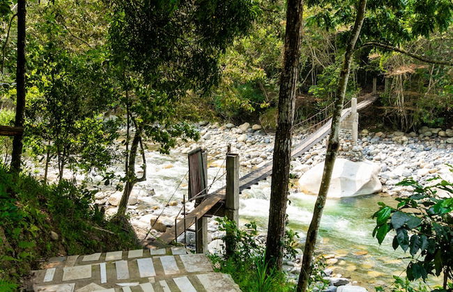 Casa de campo Los Yungas - Photo 43