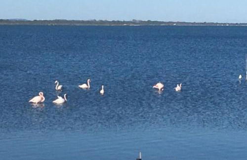 Villa avec SPA & vue panomarique sur l'Etang - Foto 15