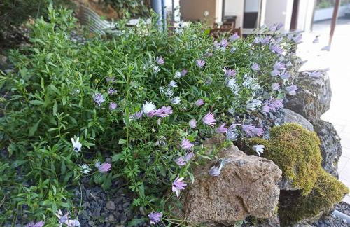 Vistas Del Valle; piscina, wifi bbq... - Foto 53