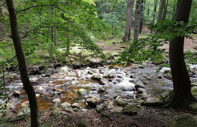 Classic Holiday Home in Harz near Braunlage Ski Area - Foto 22