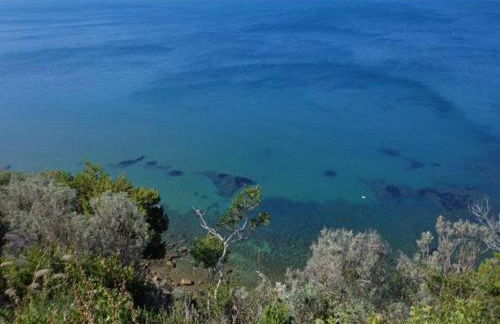 La Mulattiera - Photo 16