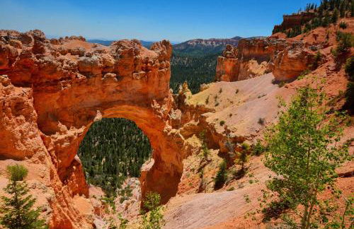 Yurt Overlook #8 with AC and Private Bath King Suite - Foto 19