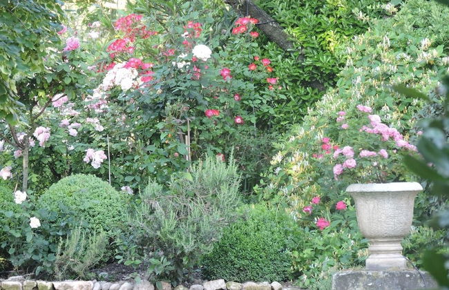 La Nesquière - Photo 51