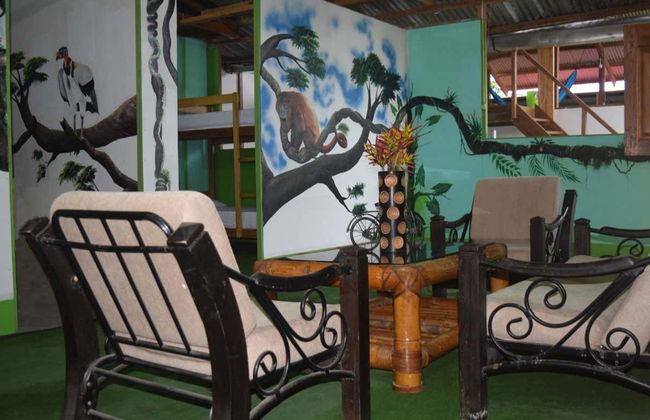 Tambopata National Reserve & Rainforest 4 Day Tour - Photo 4