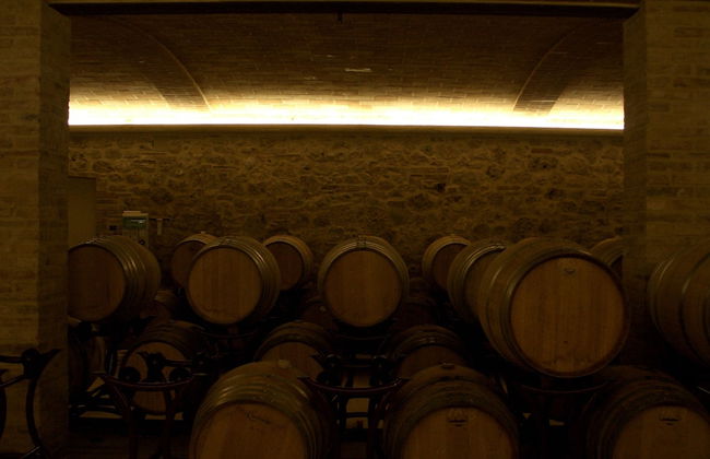 Le Buche Wine Resort & Spa - Foto 40