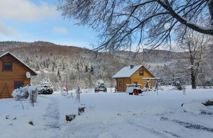 Domki pod Lipą. - Foto 61