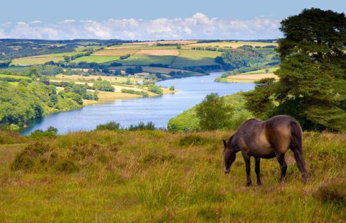 Private 7 bed wing of former farmhouse, edge of Exmoor, sleeps 16 - Foto 19