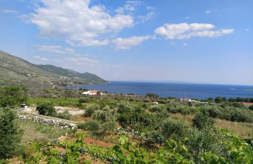 Apartman A&M - Photo 8