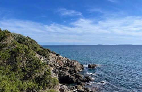 Rooftop with private condominium beach - Foto 27