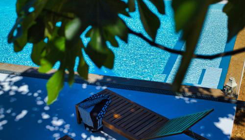 Monte Alecrim - Foto 4