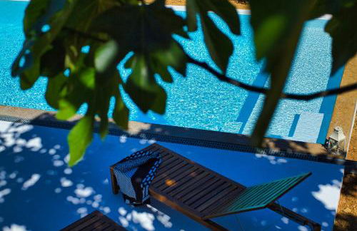 Monte Alecrim - Foto 4