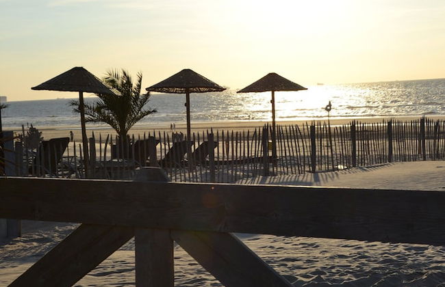 Bungalow in 's-gravenzande With Nautical Charm - Foto 34