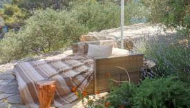 House on Punta - Photo 5, Garden