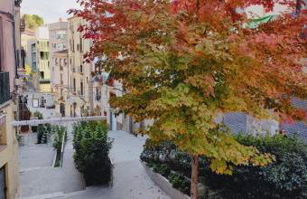 Antic Manresa 2 - Foto 13