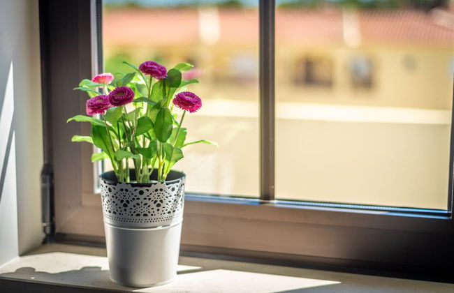 Novochoro Apartments - Foto 52