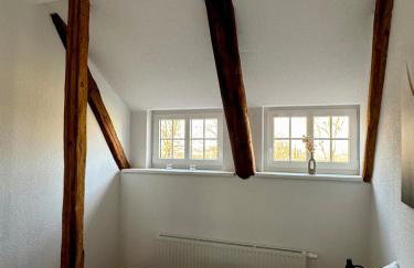 Robbe beim Ochsenturm am Deich - Foto 17