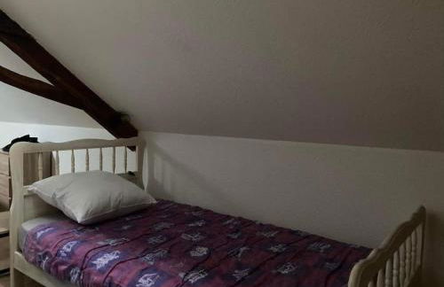 Gite au cœur du village du Périgord noir - Foto 12