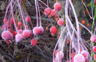 Ferienwohnung im Turm Bellevue mit 3 Schlafzimmern - Foto 28