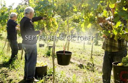 Quinta Da Longra - Foto 8