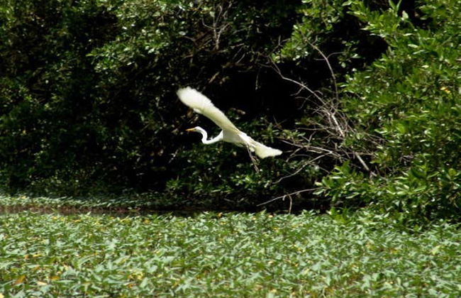 Salamanca Island Road Park Hiking Tour - Foto 3