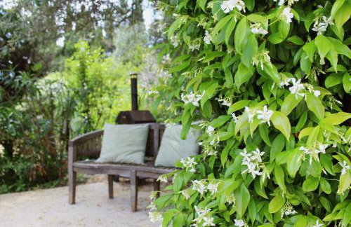 Sourire du Soleil - Foto 21