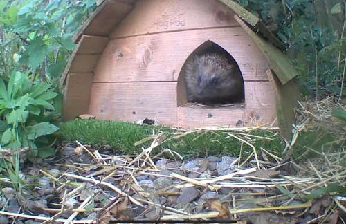 Large converted barn in peaceful, rural location - Foto 59