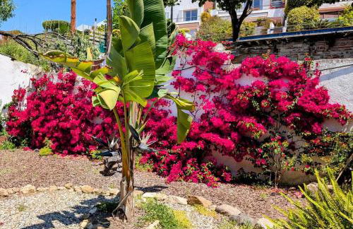 Historic house 5 minutes walk from the beach - Foto 64