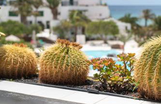 House of the Horizon Playa Las Cucharas VV penthouse with sea & pool view AIRCON - Foto 22