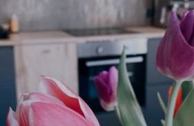 Altstadtjuwel in Cadolzburg- Hidden by Feingemacht - Foto 18