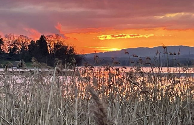 Holiday Apartment Paradise by the Lake - Foto 16