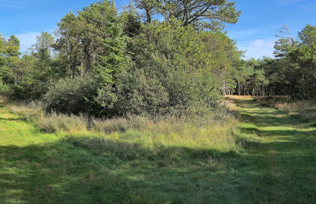 12 Person Holiday Home in Romo - Foto 8