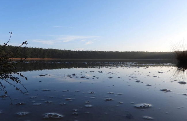 8 Person Holiday Home in Ulfborg - Foto 33