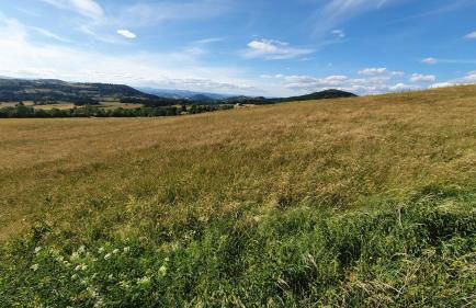Les gîtes Estaou Treillo - Foto 51