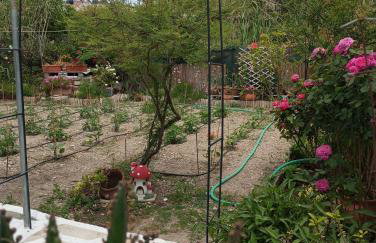 Dora's House - Photo 35