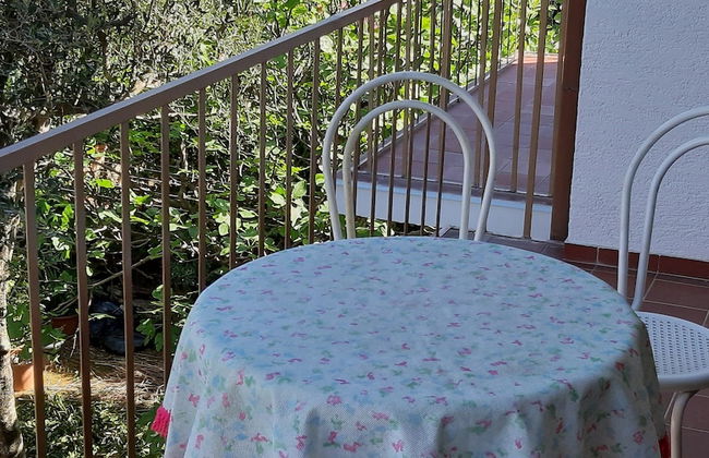 Apartments Oleandar Selce - Foto 12