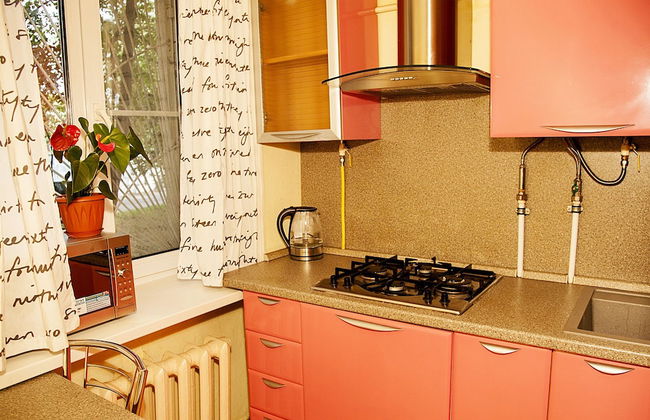 Funny Dolphins Apartments Krasnoselskaya - Foto 23