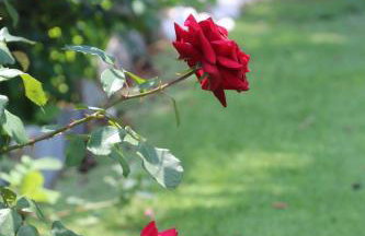 Villa Chroussa - Foto 10