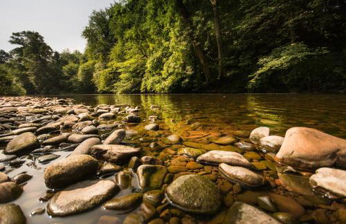 Peterstone Court Country House Restaurant & Spa - Photo 59