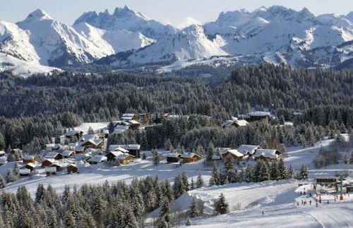 Les Terrasses du Mont blanc - Foto 16