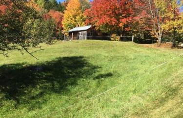 The Hunter Cabin at Sky Hollow - Foto 11