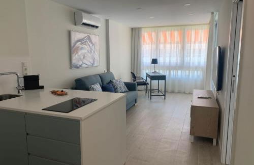 RENOVADO APARTAMENTO 1º LINEA DE MAR - Foto 8